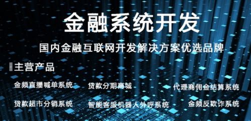 國內專注于互聯網金融系統軟件研發及外包服務的知名公司