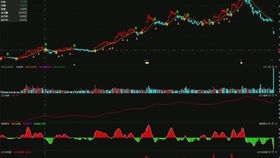 競價外包托管客服發(fā)貨篇 貨到付款如何用順豐軟件下單與競價冷門產(chǎn)品的軟件外包服務(wù)解析